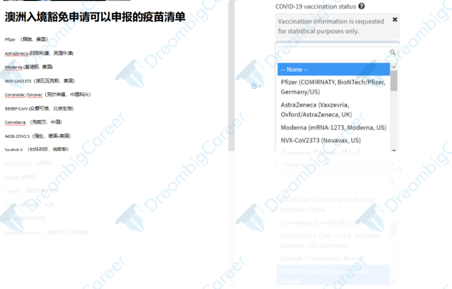 2024新澳正版免 资料,决策资料解释落实_1440p93.823