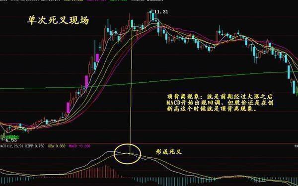 2024新澳免费资料跑狗图,最佳精选解释落实_专业版81.773