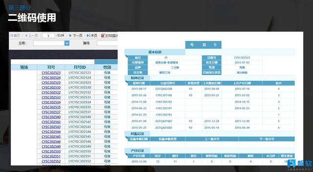 2024香港特马今晚开什么,实地计划设计验证_PalmOS46.746