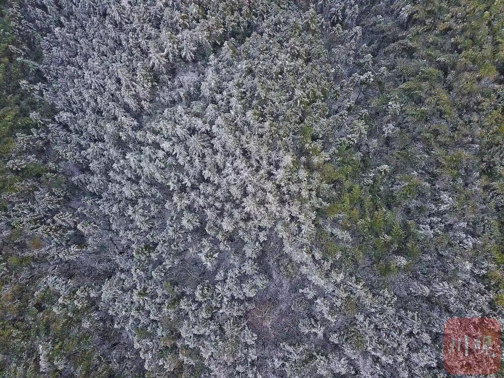 福宝玉兰山未来繁荣与生态和谐的新规划探索